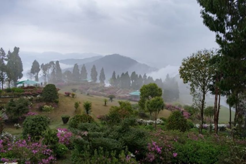 Delo Park-5